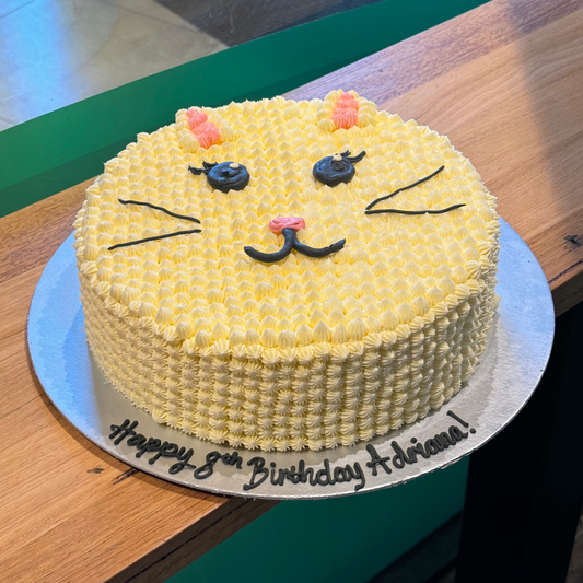 Full view of a cute cat-themed birthday cake handcrafted in Adelaide using Ben & Jerry's ice cream, featuring a playful feline-inspired design.