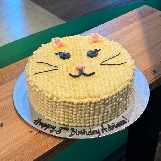 Front view of a cat birthday cake made with Ben & Jerry's ice cream in Adelaide, showcasing its adorable animal-inspired presentation.