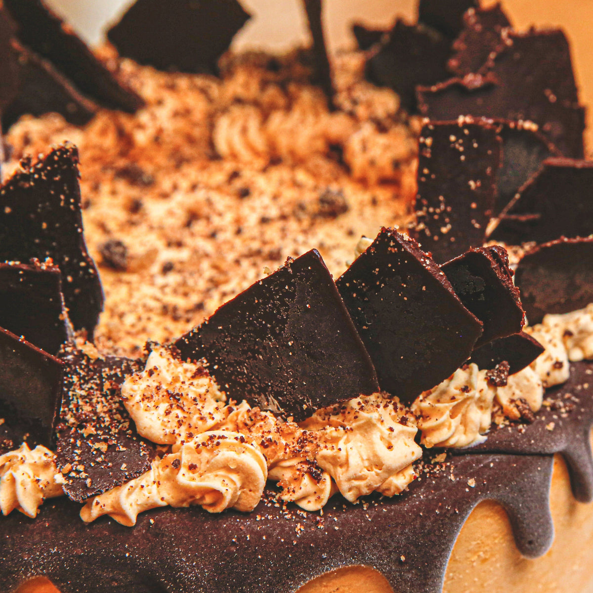 close up of a handcrafted chocolate shard birthday cake highlighting its decorative chocolate detailing and celebration-ready finish.