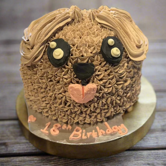 Front view of a dog-themed birthday cake made with Ben & Jerry's ice cream in Adelaide, showcasing its distinctive rounded dome shape.