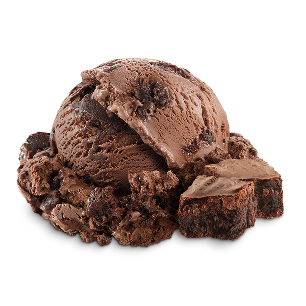 Chocolate Fudge Brownie